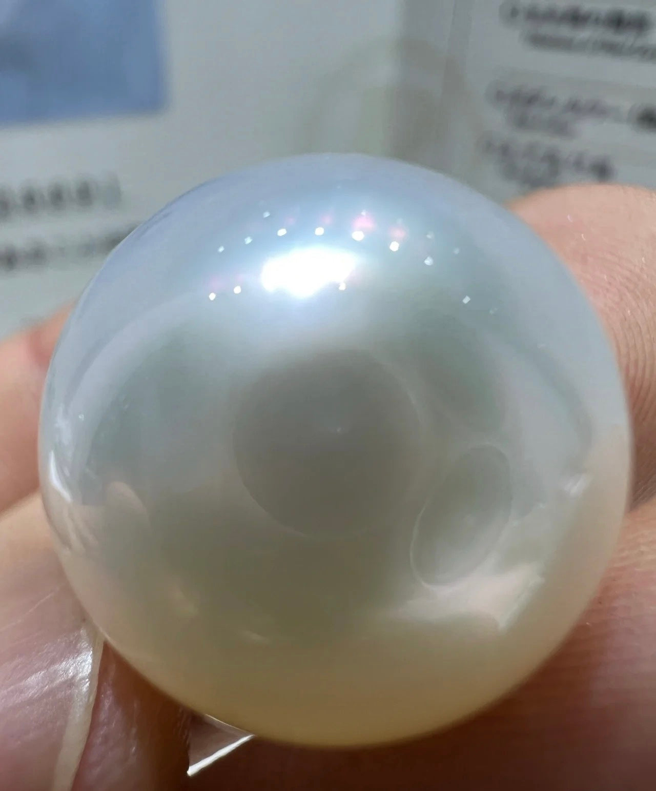 0.02White Swan——15mm Big White pearl