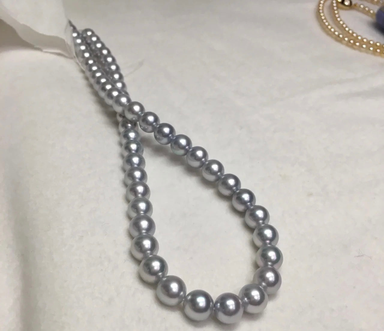 0.01Elegant lady ——Platinum Gray pearl 6-7mm（1pc in one clam)