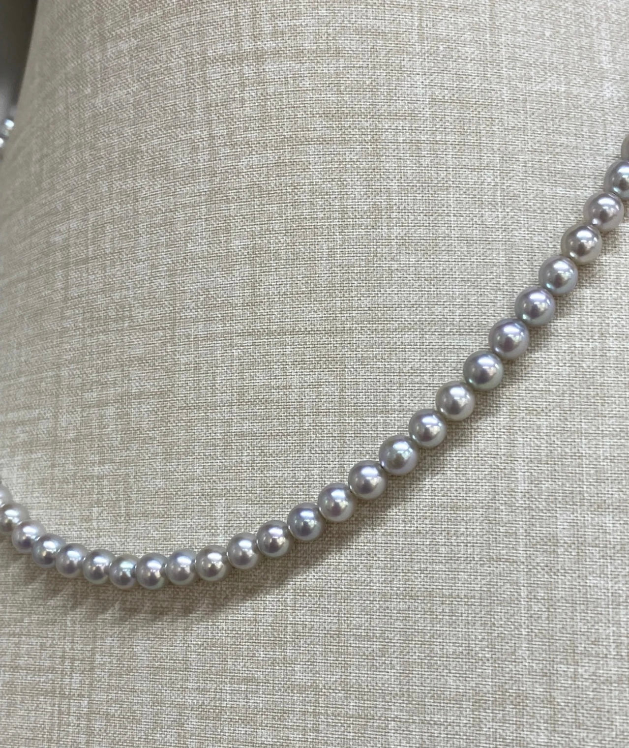 0.01Elegant lady ——Platinum Gray pearl 6-7mm（1pc in one clam)